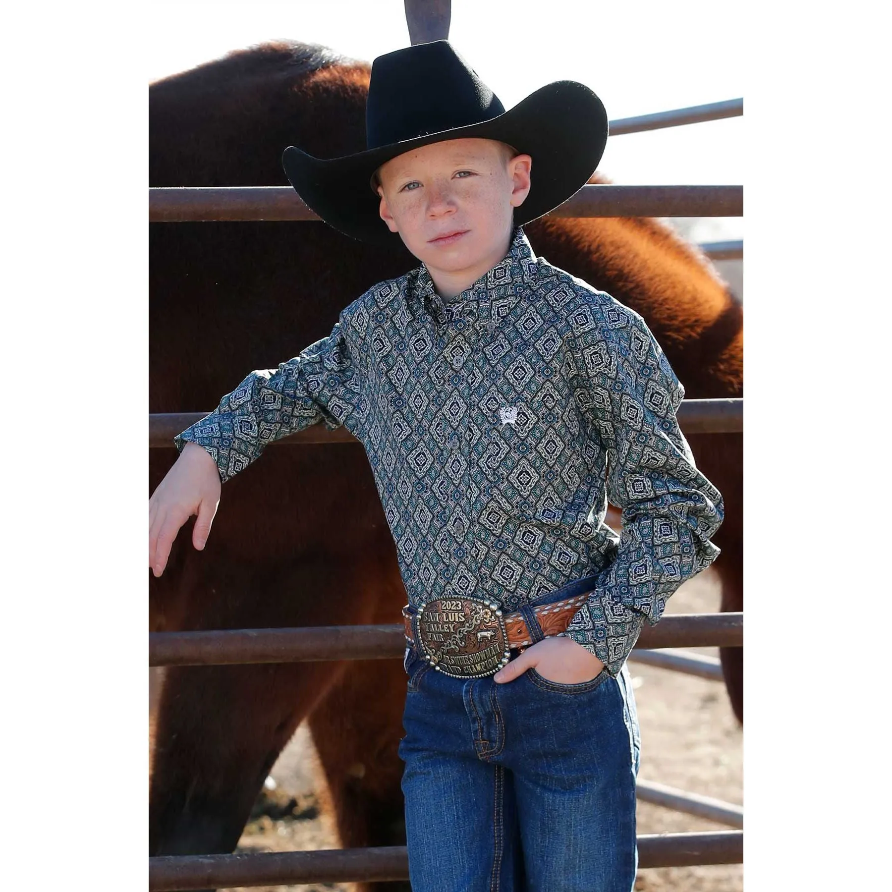 Boy's Geometric Print Button-Down Western Shirt MTW7060368